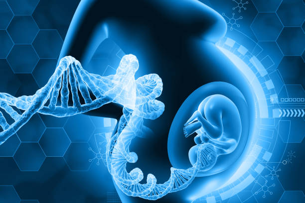 Best Orthopedics hospital in erode